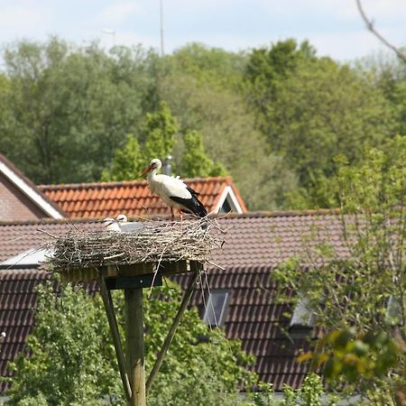 Bed & Breakfast 'Aan De Ijssel' Zwolle  Exterior photo