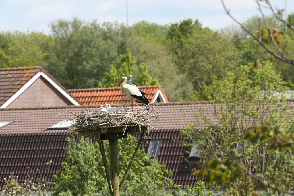 Bed & Breakfast 'Aan De Ijssel' Zwolle  Exterior photo